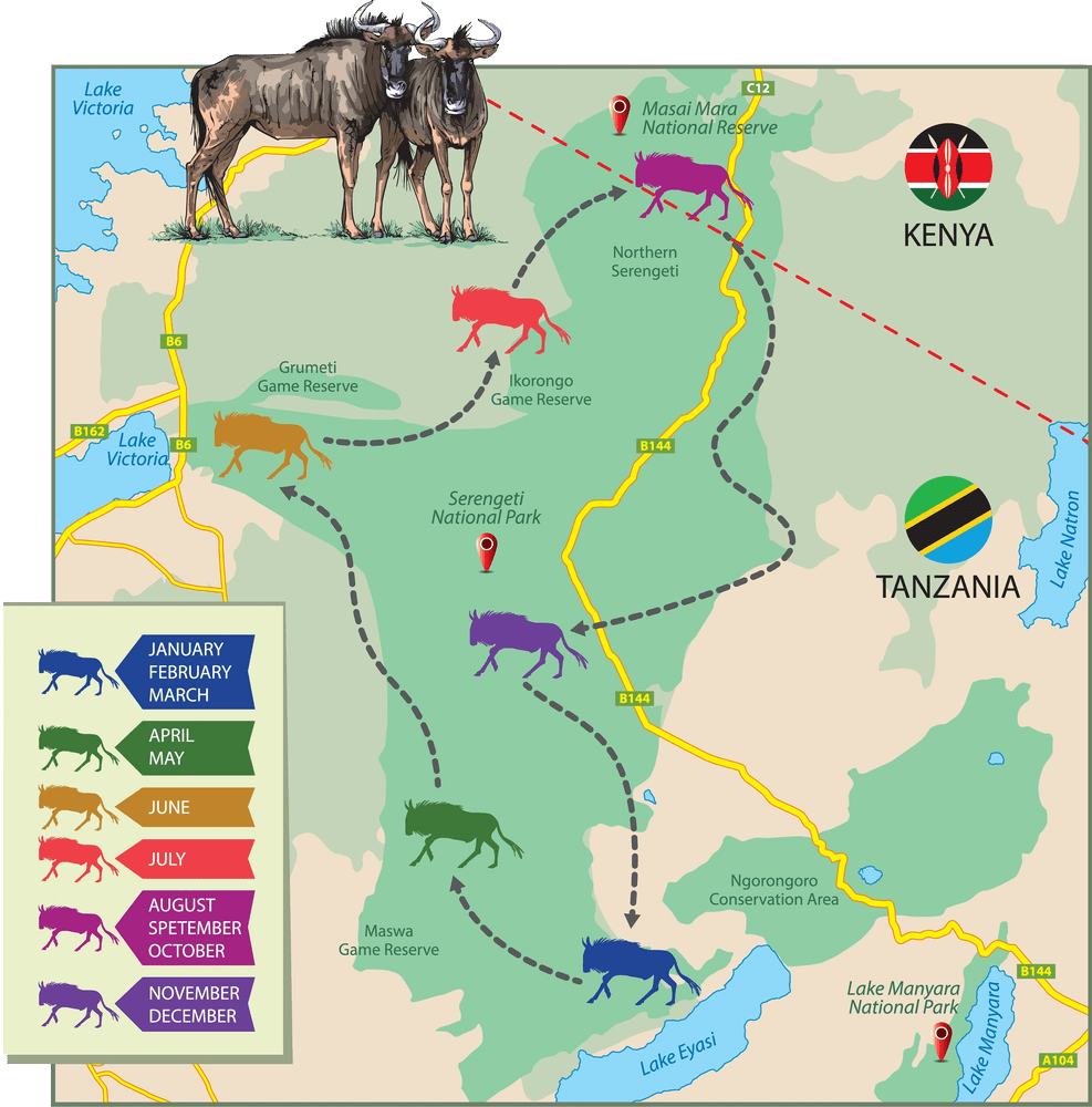 Map of the Great Wildebeest Migration across Serengeti and Masai Mara